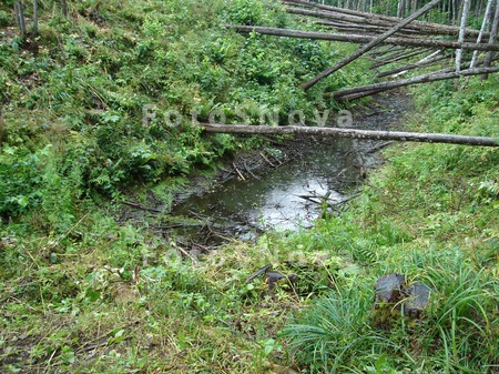 rov,_gorodische,_zolotarevskoe