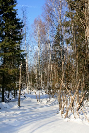 Komi,_Sever,_vesna,_peyzaj,_ma