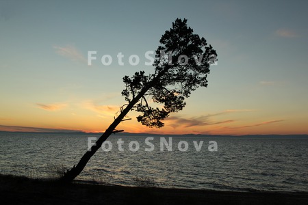 Baykal,_rassvet,_leto,_derevya