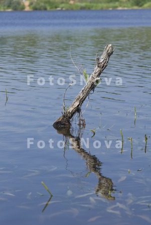 voda,_spokoynaya._otrajenie,_b