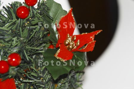 Novyiy_god,_prazdnik,_ukrashen