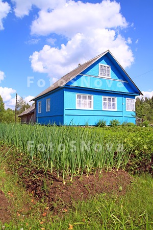agricultural_agriculture_backg