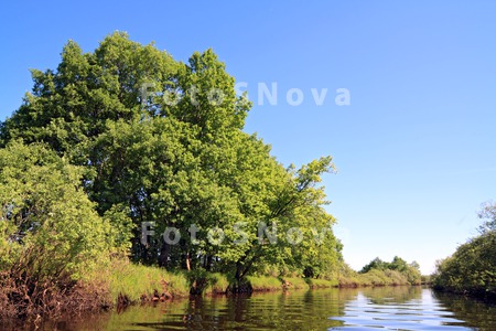 area_branch_bush_canal_cloud_c