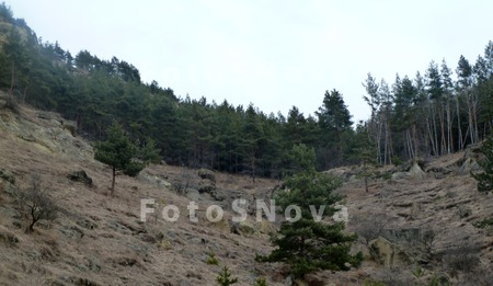 Kavkaz,_Stavropolskiy_kray,_Ki