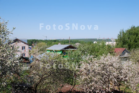 Cheboksaryi;_vesna;_tsvetenie;