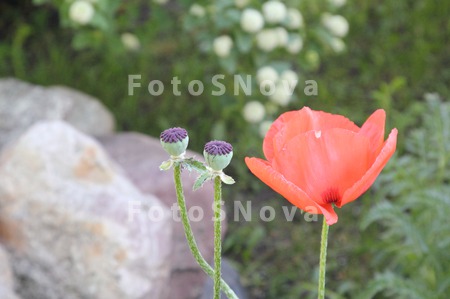 beautiful,_color,_colorful,_co