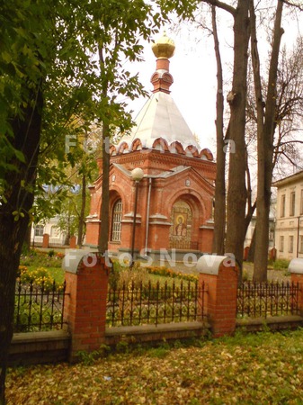 Jeltyie_listya,_zabor,_derevy