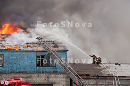 reportaj,_professiya,_rabota,_