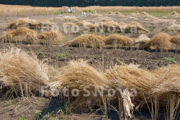 Россия,_город_Кр