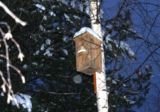 skvorechnik,_kormushka,_domik,