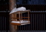skvorechnik,_kormushka,_domik,