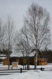 Vesna,_mart,_pasmurnyiy,_den,_