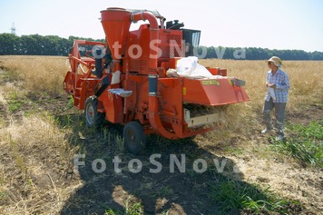 Россия,_Кубань,_г
