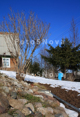 protalinyi_dacha_ogorod_vesna_