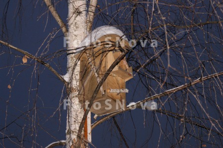 skvorechnik,_kormushka,_domik,