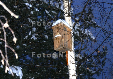 skvorechnik,_kormushka,_domik,