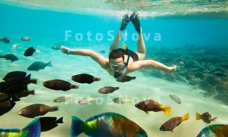 child_holiday_underwater_boy_c