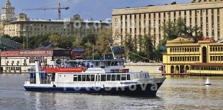 kater,_progulka,_gorod,_peyzaj