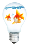 bulb_light_electricity_inspira