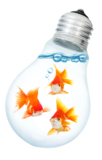 bulb_light_electricity_inspira